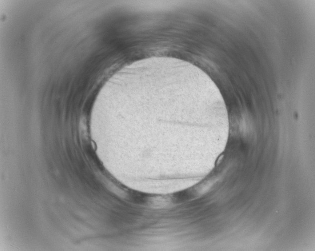 X0000069830238200606161948