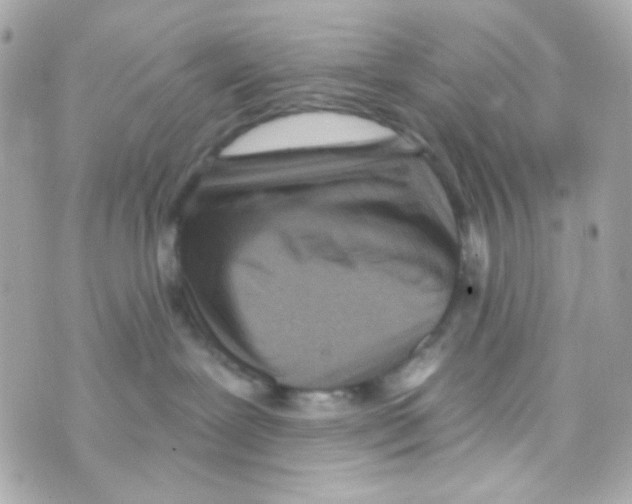 X0000069830239200606161948