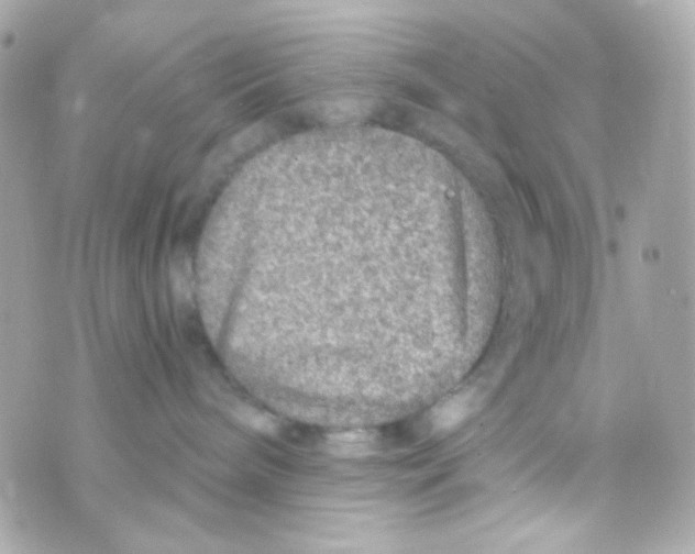 X0000069830240200606161948