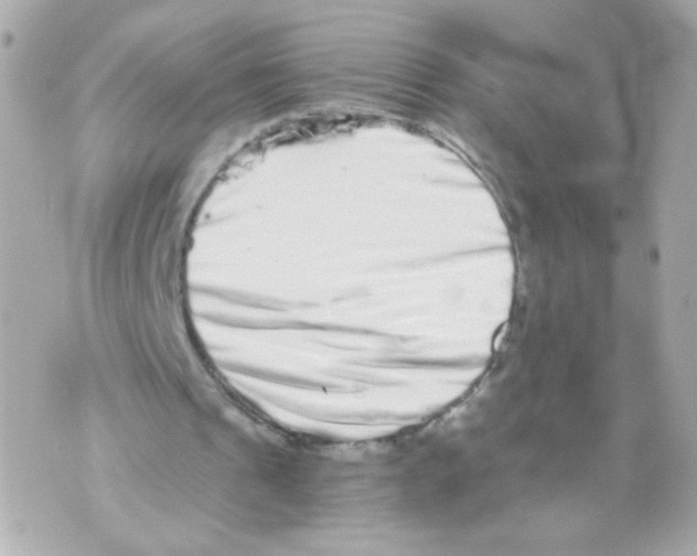 X0000069830241200606161947