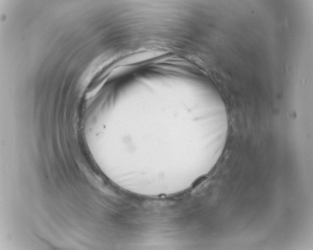 X0000069830242200606161947