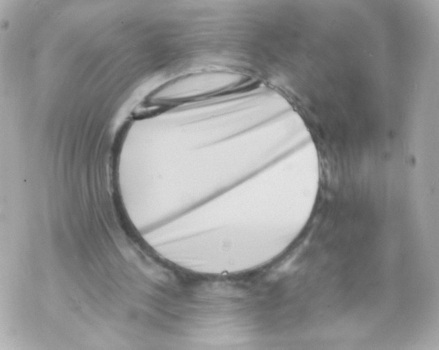 X0000069830244200606161947