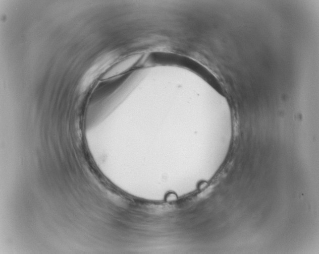 X0000069830245200606161947