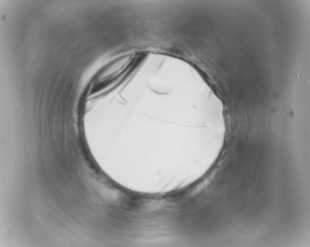 X0000069830246200606161947