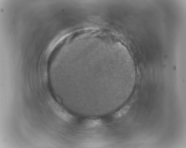 X0000069830247200606161947