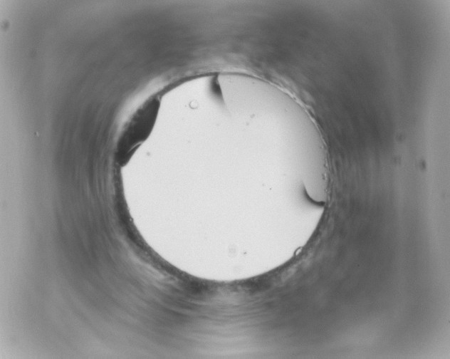 X0000069830248200606161947