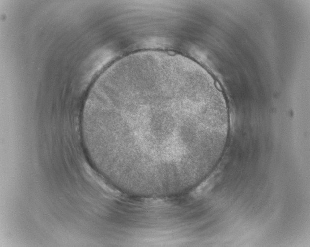 X0000069830249200606161947