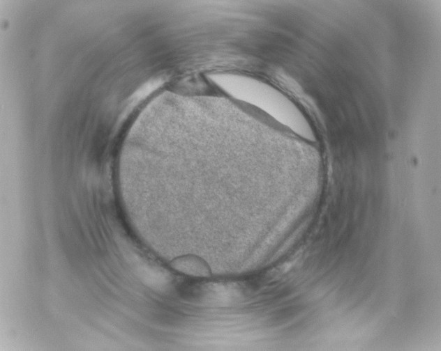 X0000069830250200606161947