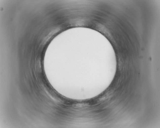 X0000069830251200606161947