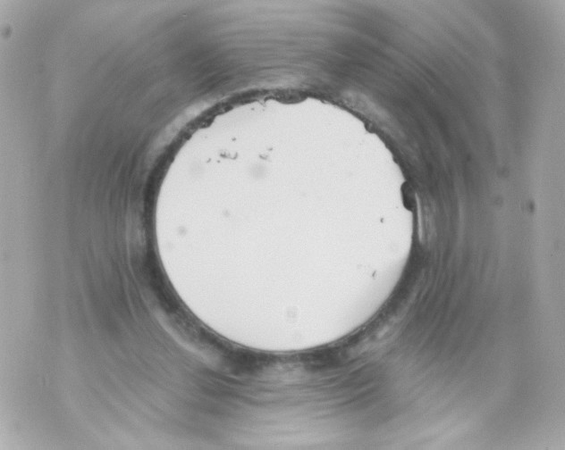 X0000069830252200606161947