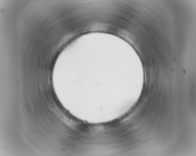 X0000069830253200606161947