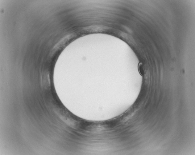 X0000069830254200606161947