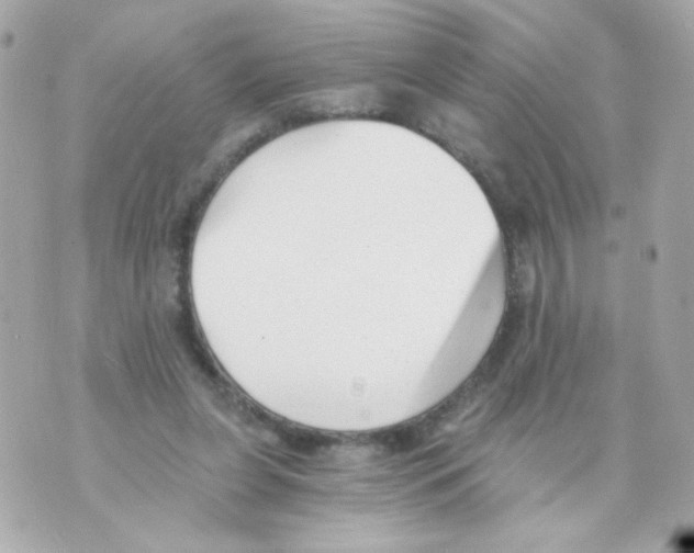 X0000069830255200606161947