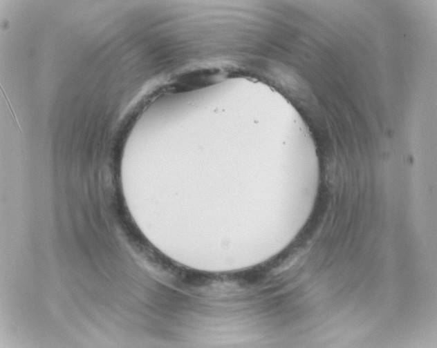 X0000069830256200606161947