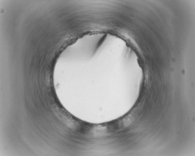 X0000069830257200606161947