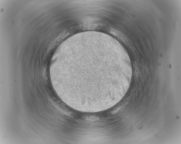 X0000069830258200606161947