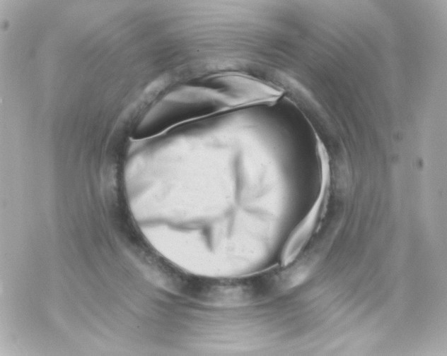 X0000069830260200606161948