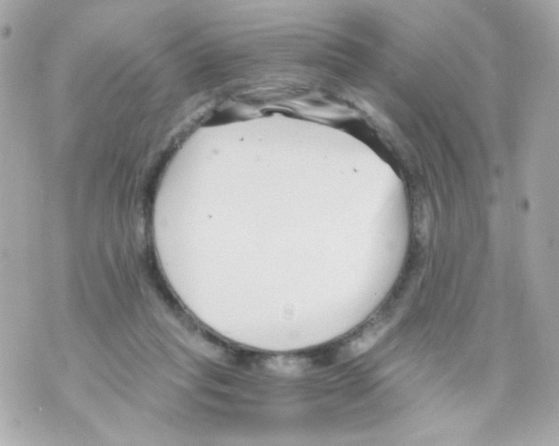 X0000069830261200606161948