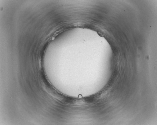 X0000069830262200606161948