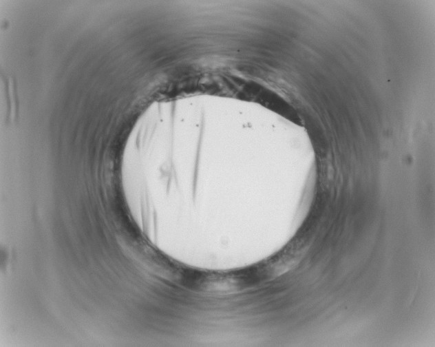 X0000069830263200606161948