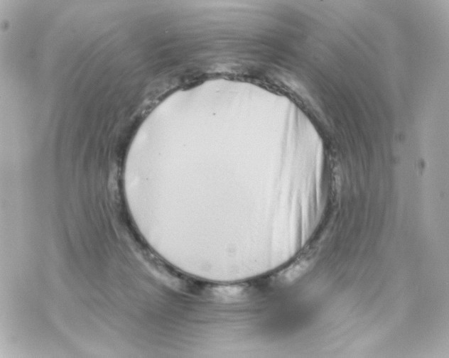 X0000069830265200606161948