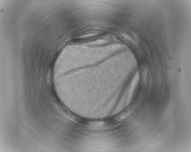 X0000069830266200606161948