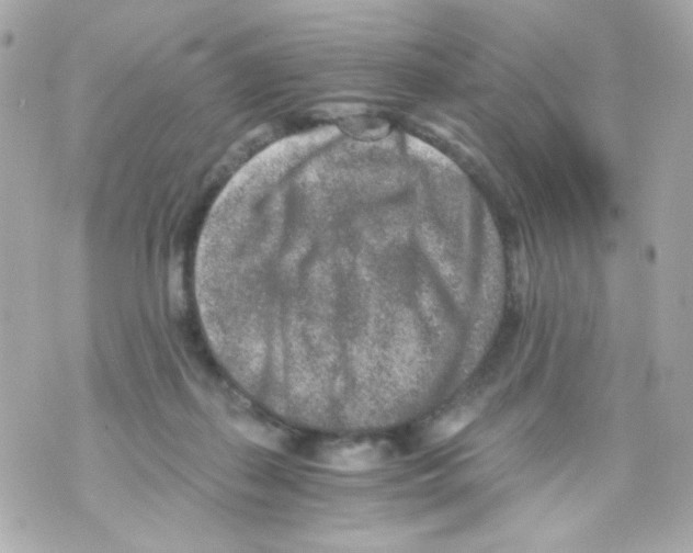 X0000069830267200606161948