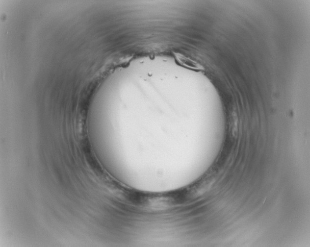 X0000069830268200606161948