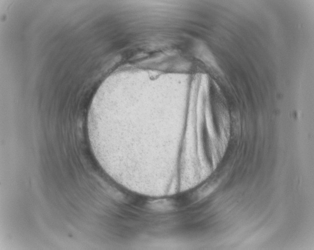 X0000069830269200606161948