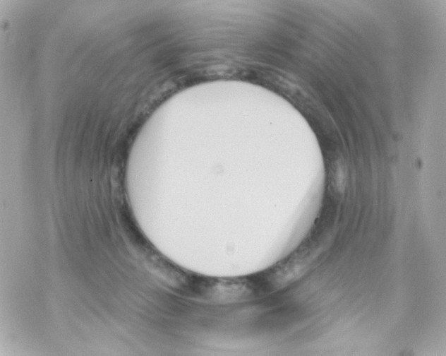 X0000069830270200606161948