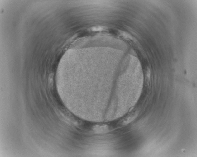 X0000069830271200606161948