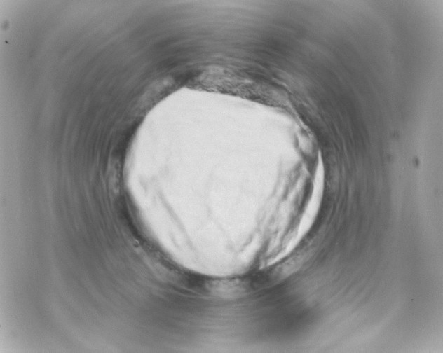 X0000069830273200606161948