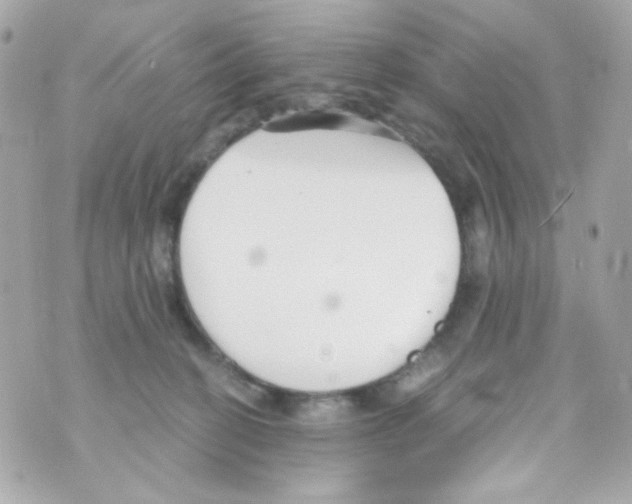 X0000069830274200606161948