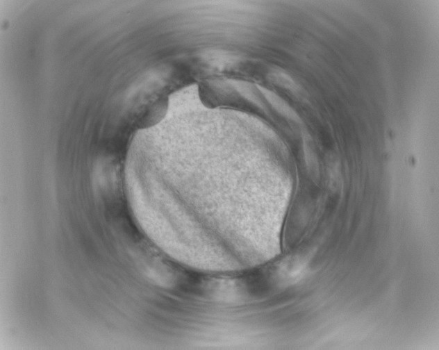 X0000069830276200606161948