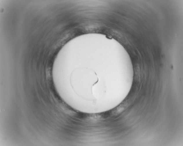 X0000069830278200606161948