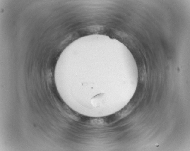 X0000069830279200606161948