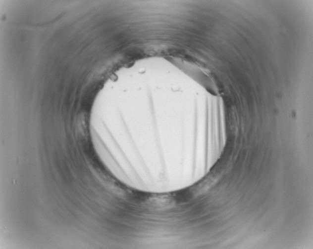 X0000069830280200606161948