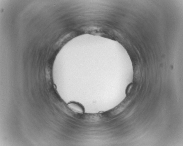 X0000069830282200606161948