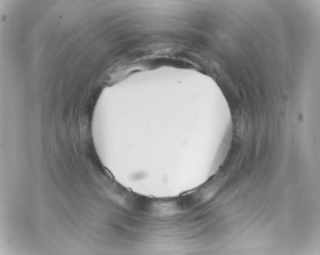 X0000069830283200606161948