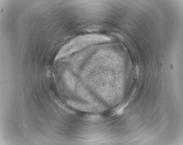 X0000069830284200606161948