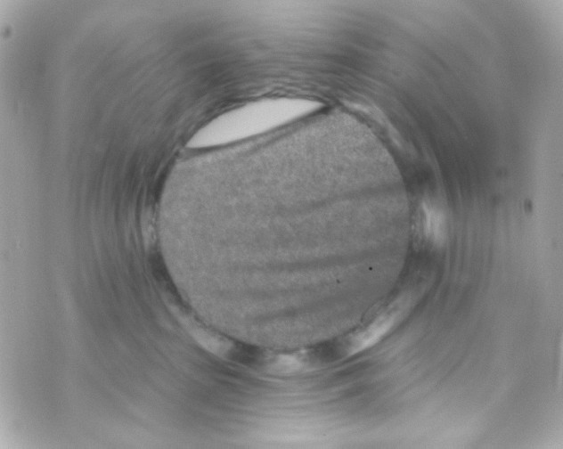 X0000069830285200606161948