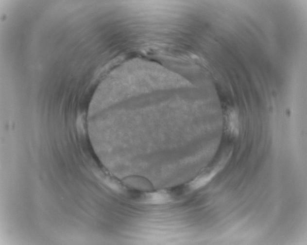 X0000069830286200606161948