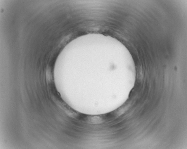 X0000069830287200606161948