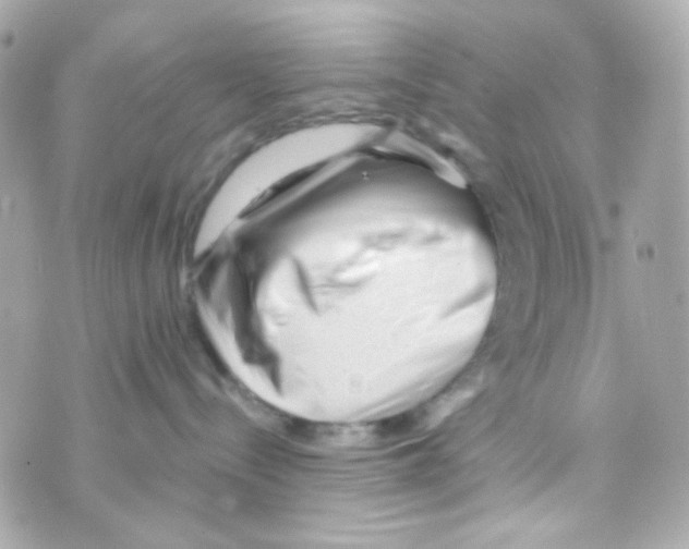 X0000069830288200606161948