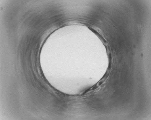 X0000069830289200606161947