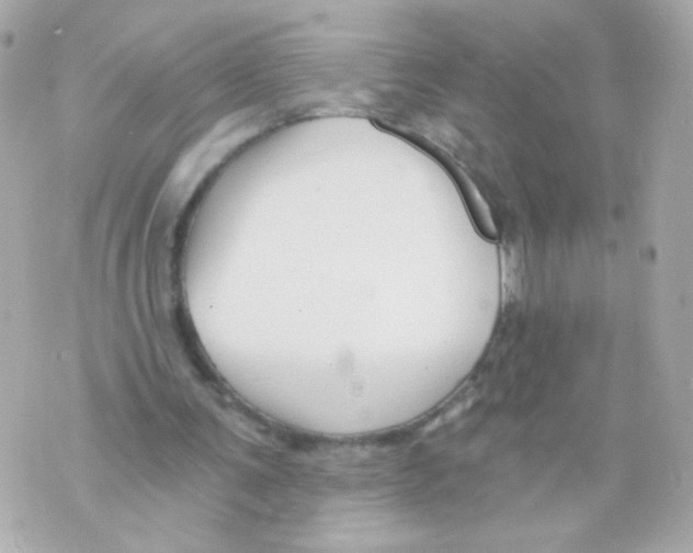 X0000069830291200606161947