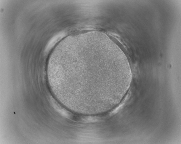 X0000069830293200606161947