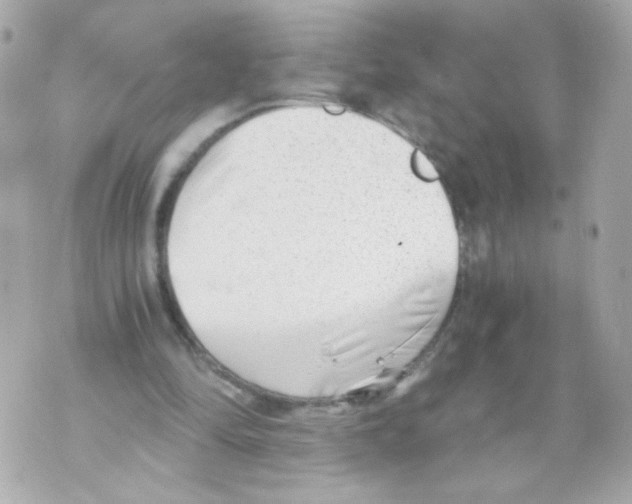 X0000069830294200606161947