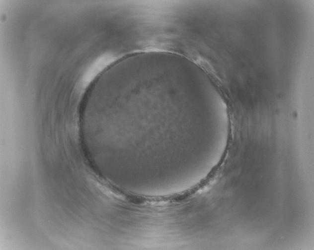 X0000069830295200606161947