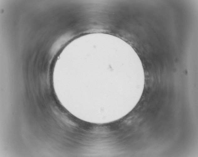 X0000069830296200606161947